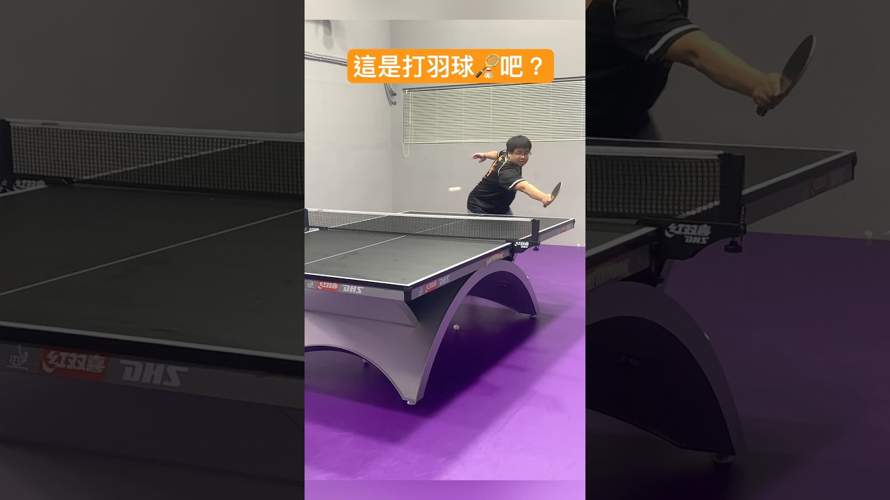 既能应对欧